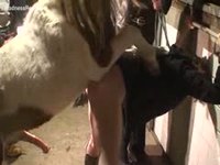 Wife removes her bottoms and leans against the wall for a creampie from a horse
